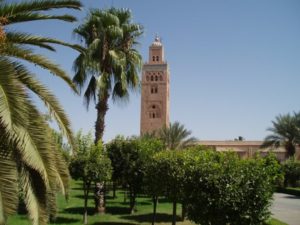Marrakech Excursions