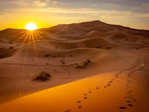6 Days Morocco Tour from Fez To Marrakech via the Sahara